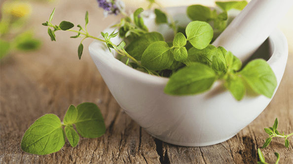 herbs to increase strength